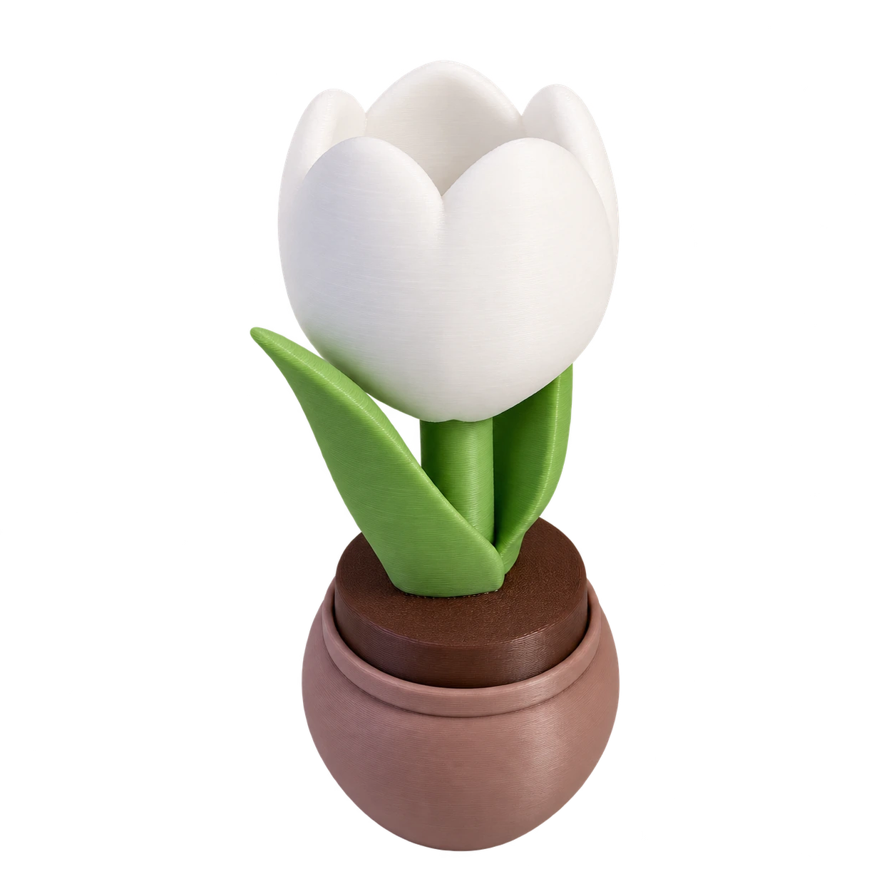 Tulip Clicker — tulipán en tiesto